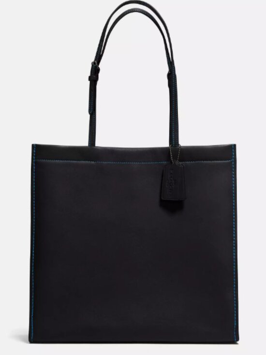 Coach Handbags - Coach Skinny Tote in Glovetanned Leather